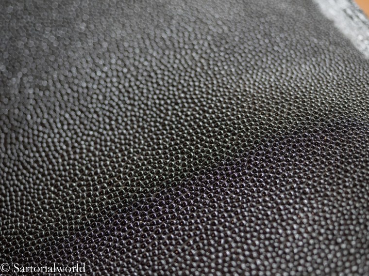 2019-03-21 Alfred Sargent-16.jpg